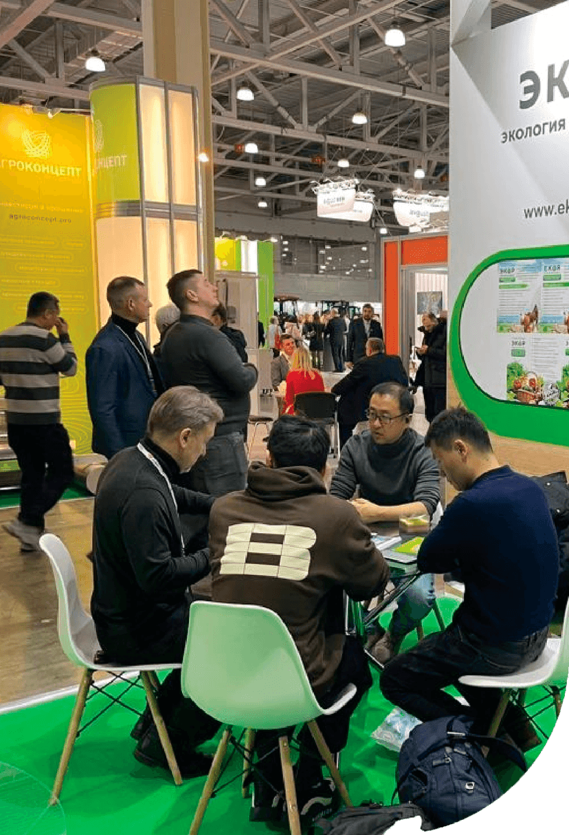 Направления